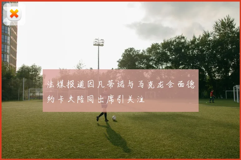 法媒报道因凡蒂诺与马克龙会面德约卡夫陪同出席引关注