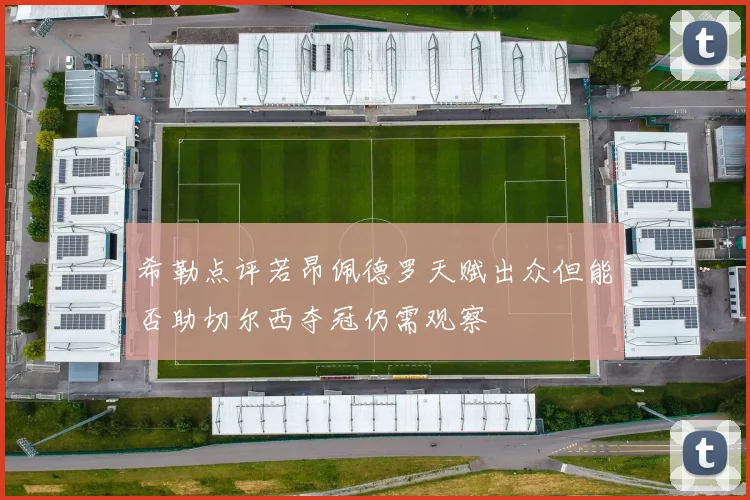 希勒点评若昂佩德罗天赋出众但能否助切尔西夺冠仍需观察