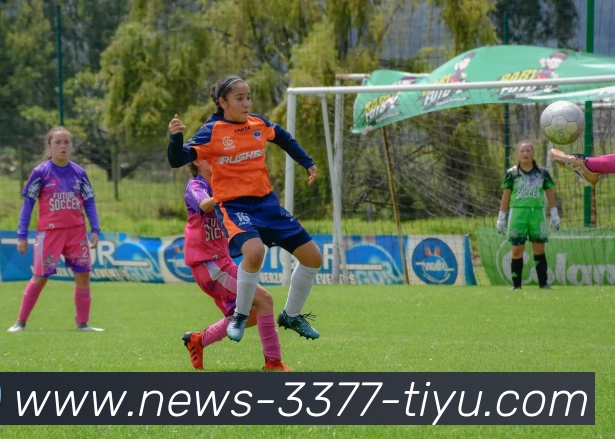 3377体育APP 封面图